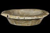 Petrified Wood Bowl - Indonesia #176229-2
